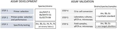 Quantitative real-time PCR assays for species-specific detection and quantification of Baltic Sea spring bloom dinoflagellates